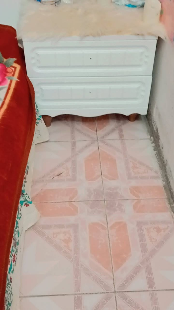 غرفه كانتري بيها مرايه وحده فقط بميز تواليت والباقيات ثنين مكسورات بس قاعده مالتهن باقيات والكنتور بوب موجوده مالته بس جام مكسورة مال بوب وطابوريه مكسورة السعر 450 الف المكان بغداد بالكرخ الري


**إذا كنت صاحب هذا الإعلان وتريد حذفه لأي سبب، رجاءا أرسل رسالة إلى الدعم الفني**