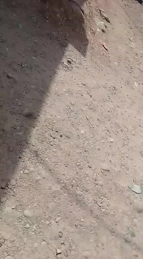 كاع للبيع، المساحه 160 متر  حي الزيتون داخل فرع اسواق ابو علي  موقع ماله درجه اولى
الكاع تجاويه فرع كلها عماير
اول من يفوت على اسواق ابو علي ٣ فرع ركن عماير صف ركن
 السعر واستفسر على ارقام التاليه ***********
***********
اي واحد يخبر يكول من طرف ميره صمت والي يشتريها يبلغني امانه
