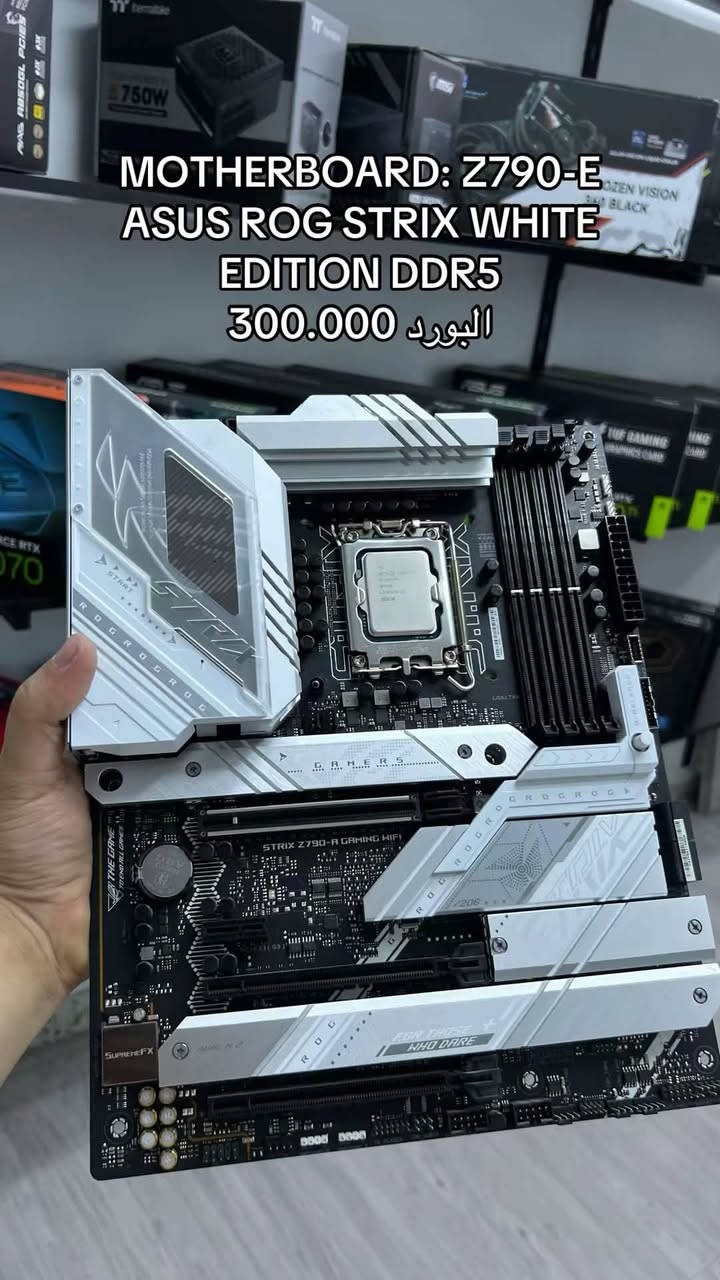 قطع للبيع شباب اسعار مل بيع لحد يجي يعامل رجاء بس شراء خاص
CPU: I9 14900K INTEL
المعالج سعره 500.000

GPU: RTX 3080 TI AORUS MASTER 3FAN 12GB
الكارت 650.000

MOTHERBOARD: Z790-E ASUS ROG STRIX WHITE EDITION DDR5
البورد 300.000

WATER COOLER: RYJIN III ASUS ROG STRIX WHITE EDITION 360Mm
المبرد شغال انتل فقط سوكت بي سعره 200.000

HARD: NMVE M.2 1 T MSI SPATIUM PRO GEN 4
سعره 150.000

POWER SUPPLY: EVGA 1000W 80PLUS GOLD
الباور 125.000

CASE COOLER MASTER COSMOS C700M
الكيس 250.000


**إذا كنت صاحب هذا الإعلان وتريد حذفه لأي سبب، رجاءا أرسل رسالة إلى الدعم الفني**