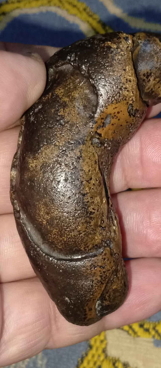 ‎حجر سلطاني‎ البصرة, العراق


**إذا كنت صاحب هذا الإعلان وتريد حذفه لأي سبب، رجاءا أرسل رسالة إلى الدعم الفني**