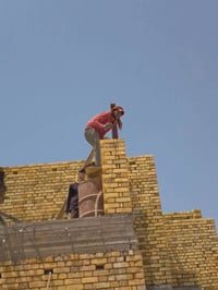 خلفة • متفرغة • يومية