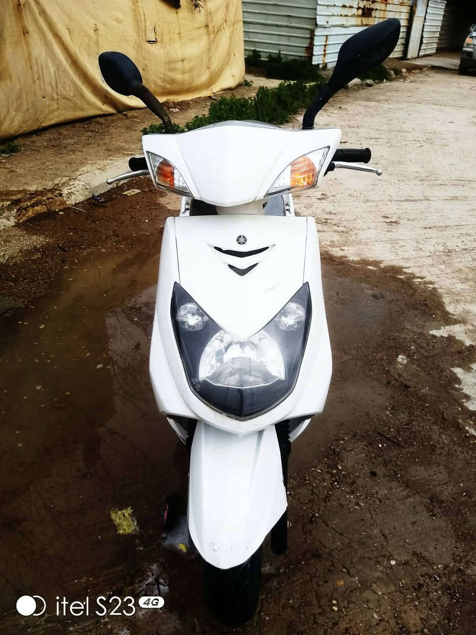 دراجه سكنس فحل رمبه دراجه كلش حلوه السعر على الخاص رقمي ***********
