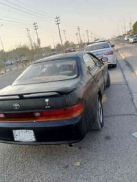 شيزر • بصرة خور زبير • مكفولة مكينه وكير