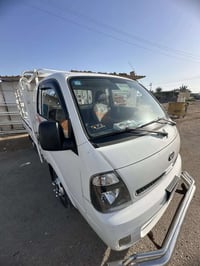 بنكو • ٢٠١٨ • لا صبغ ولا ضربه