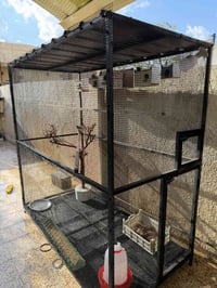 قفص • تكريت