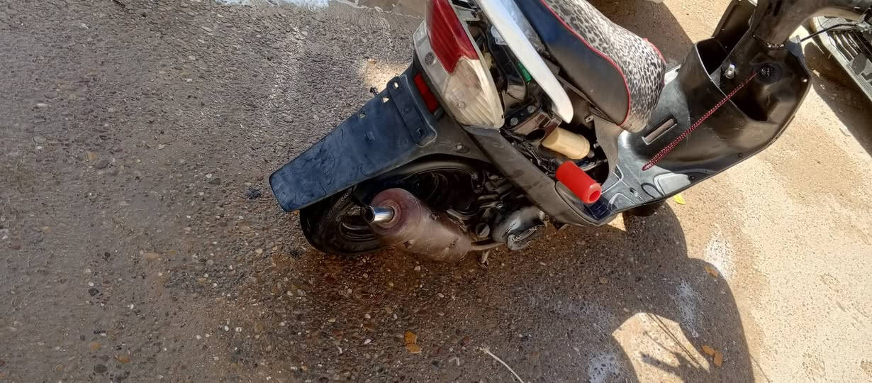 السلام عليكم ماكس عدله

مال لعب كامله ما بيها اي نقص 
بس ملف بوشه 55  شلعه ومعدل 
المكان الدوره البوعيثه السعر خاص 
***********
