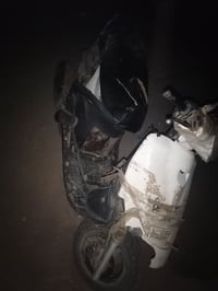 فراشة • فحل • كفر