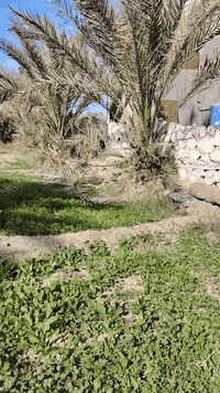 عمل الحجر • ابو ريان • خبرة ٢٠ سنة