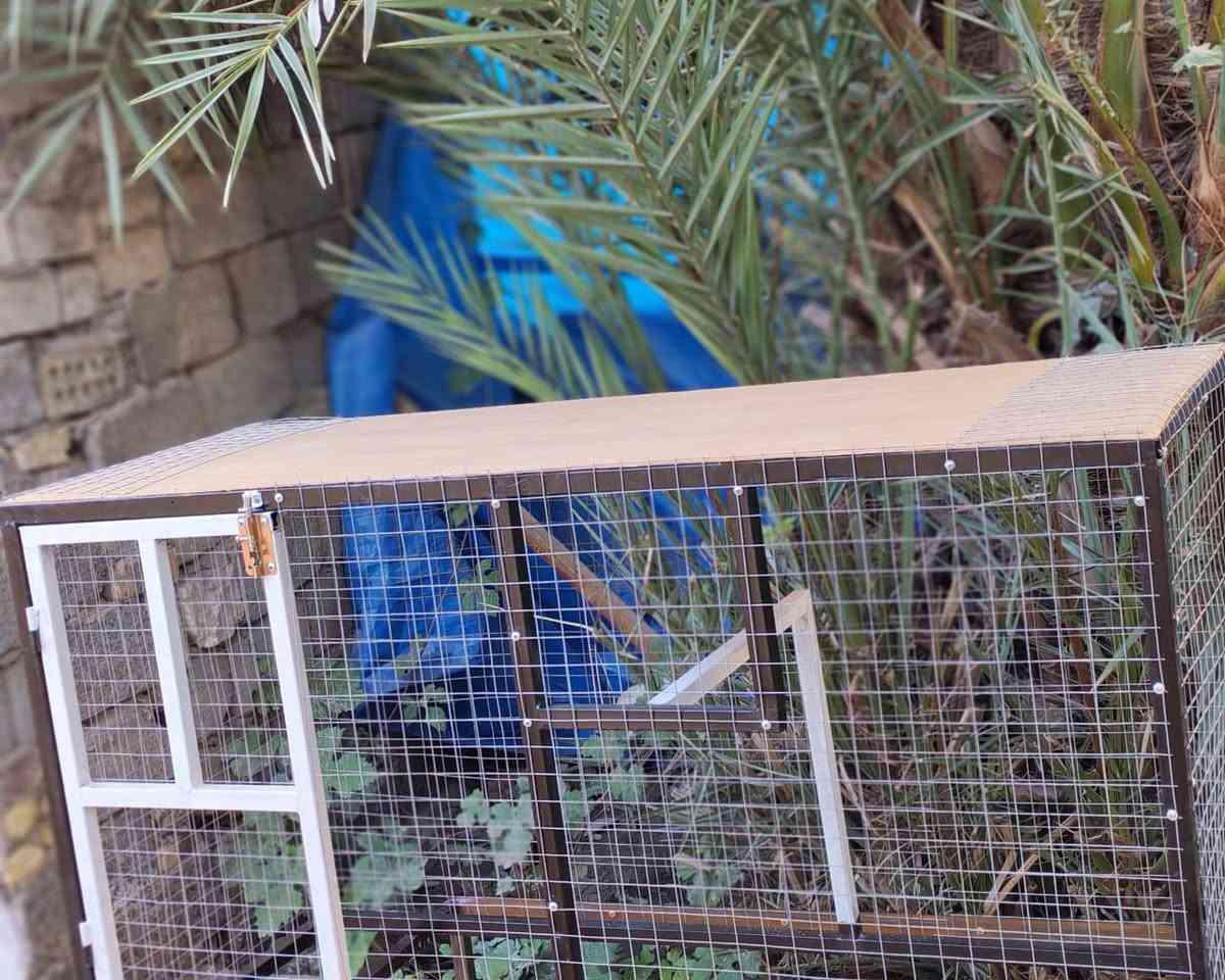 السلام عليكم برج حديد جديد ... الواجهيه 145س الارتفاع 80س النزال 60س ... السعر 65الف فقط ***********
