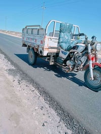 ستوته كلك 20 مكفوله من العشاير 07830861812 هاذه رقم راعيه مكلف بل نشر