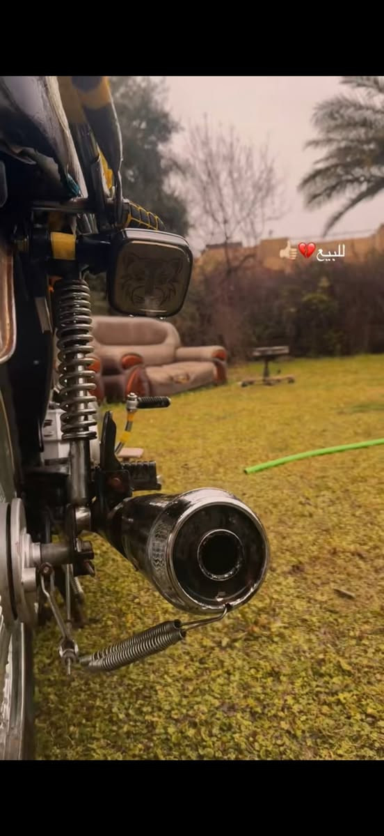 تايگر2020 لونيني ابوالدروعه وزن ثقيل
كهربائيات بگلايت اشاير كلهة شرط 🔥

مكاني قريه الزاويه 
السعر 400 وبي مجال حگ جيتك
***********
