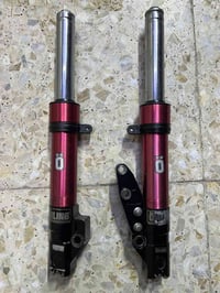 دبلات امامي جيتي ار وثعلب مكفول طسة ونضوح مكاني الحرية 07773416598