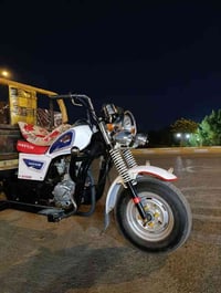 ستوتة • أوراق كاملة • معمرة جديد