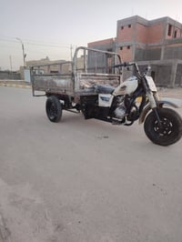 ستوته 2013 • اوراق اصلية • ناصريه مركز