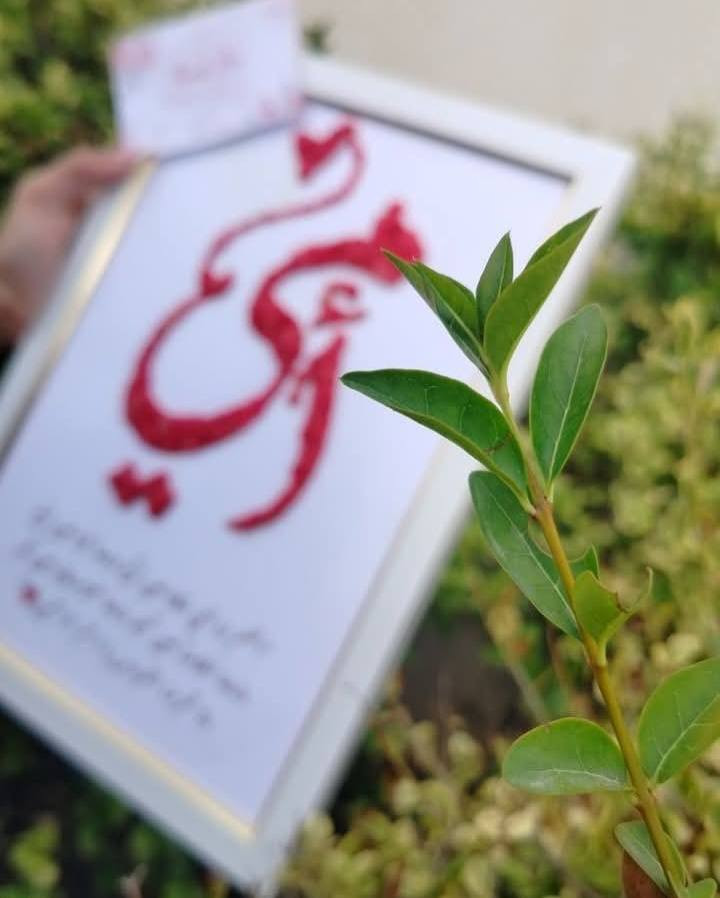 متوفر هدايا عيد الام


**إذا كنت صاحب هذا الإعلان وتريد حذفه لأي سبب، رجاءا أرسل رسالة إلى الدعم الفني**