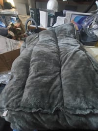 قطط • كلاب • صور بسعر