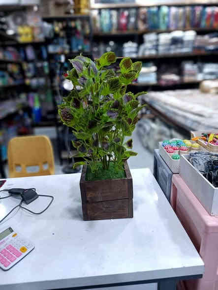 سنادين اشجار اصطناعية موديلات جديدة 
التفاصيل والاسعار مرفقة اسفل الصور 
للاستفسار مراسلة الصفحة او الاتصال على 
الرقم *********** العنوان خانقين 
دارة كونارة مقابل مطعم شاره كه م ..
