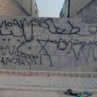 قطعه اللبيع 100متر 5×20زراعي سند 25بكاع ابو رشاد خدمات كامله قريبه عل ...