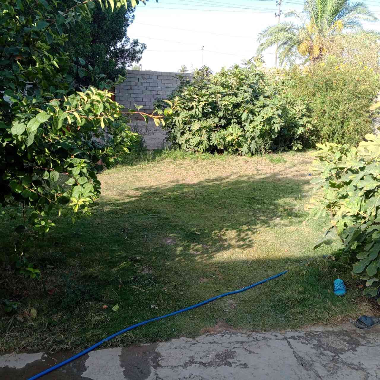 اخوان السلام عليكم مكلف بالنشر بيت للبيع ( تجاوز ) الموقع جدآ راقي على الكورنيش مقابل المديرية جوار غسل السيارات غرفتين نوم وهول وصحيات ومطبخ مساحة 400  السعر 8 تحب تستفير اكثر اتصل على الرقم
*********** ابو نور
