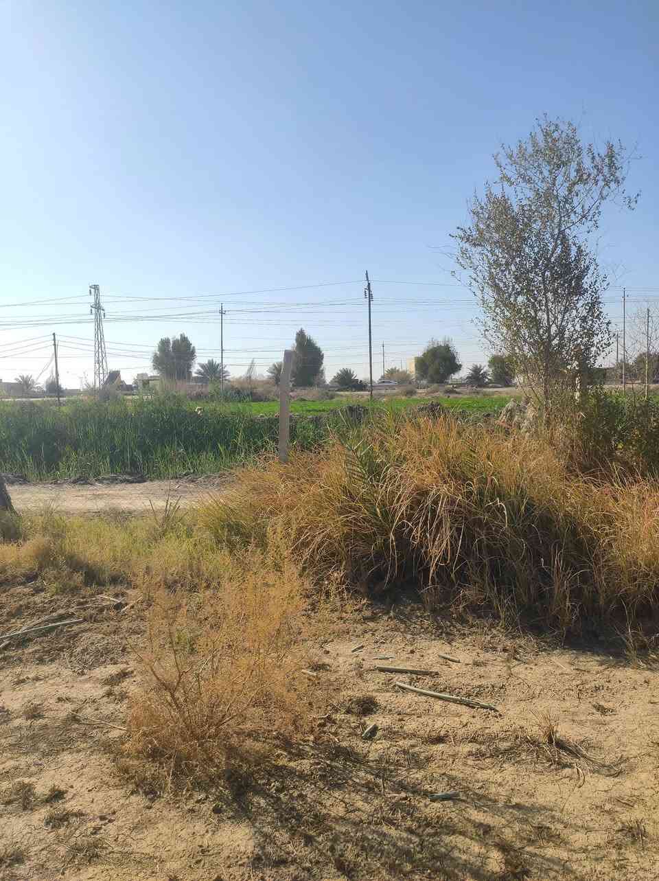 مزرعه للبيع 🥀🌹💨
المساحه ١٨٥٠ متر واقع حال ٢٠٠

تحتوي على عدد من النخيل 
الموقع طريق الدغارة 
يفصلها عن الشارع فقط المحرم 
تبعد عن طريق الفرعي تبليط فقط ٥٠ متر 
للاستفسار مراجعه مكتب الساقي للعقار حي الجامعه قرب شارع 20 
***********
