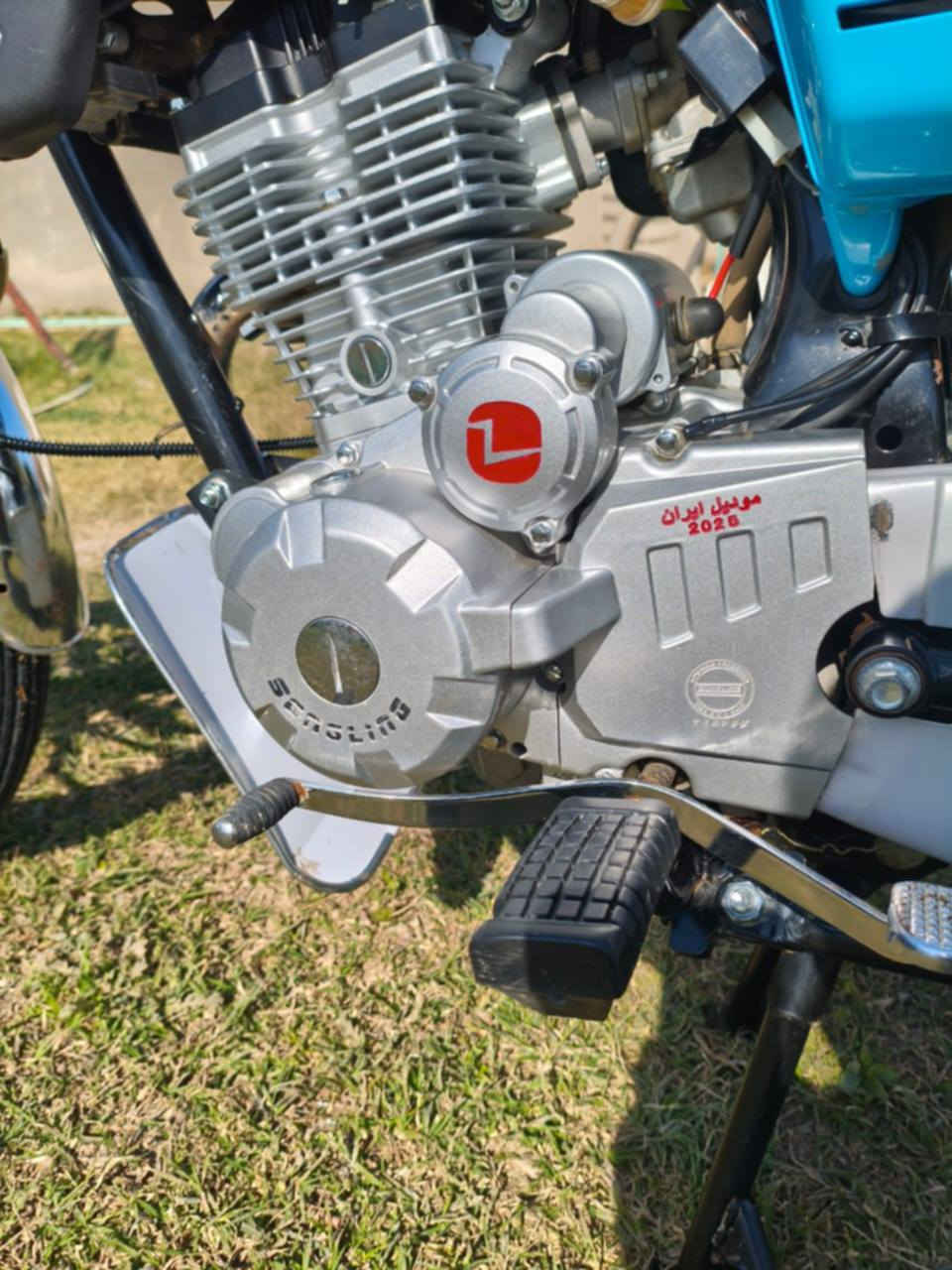 سلام عليكم دراجه سيفان لبيع مواليد 2025سعر800 وبيه مجال قليل ‏‪***********‬‏ هاذ رقمي
