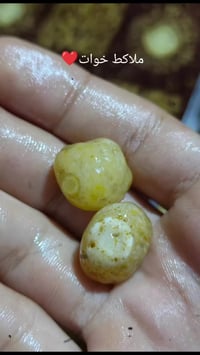 سليماني • خوات • العماره