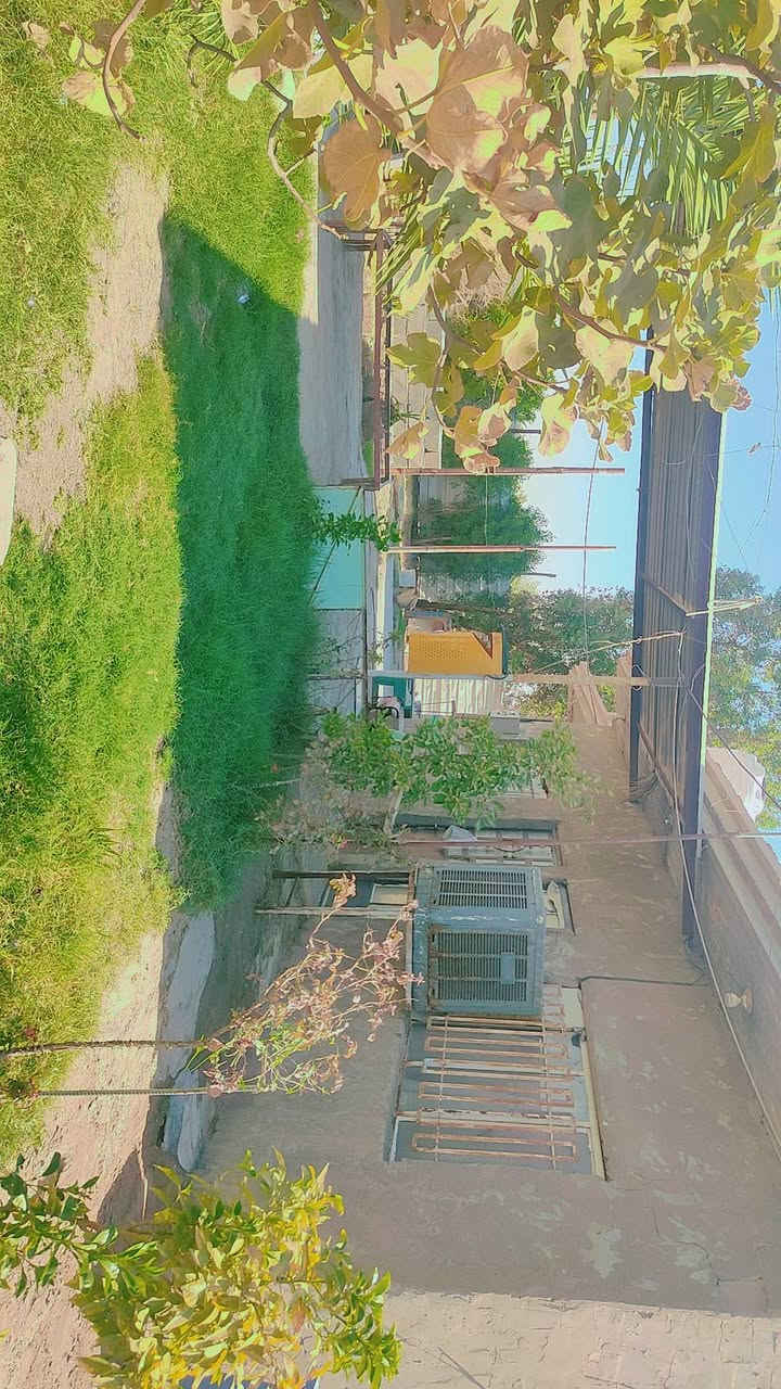 للبيع ارض زراعيه سند 25
مساحة الارض 1200 متر الكليه + بيت ومشتمل بيها 
تبعد عن الشارع العام 150 متر متوفر كافة الخدمات تبليط لحد باب البيت ماء كهرباء منطقة الحصن 
*********** ( السعر 85 مليون ) وبيها مجال .
