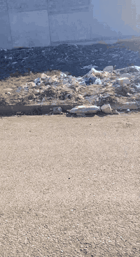 ✨ للبيع | أرض سكنية مميزة 🏞️ ✨
📑 الملكية: ملك صرف — طابو الزهور
📏 المساحة: 300م²
📐 الأبعاد:
 • الواجهة: 15م
 • العمق: 20م

📍 الموقع: حي السماح — توزيع الأطباء
📄 الشرط: وكالة وتحويل رسمي

📞 للتواصل والاستفسار:
🏢 مكتب سما الخير للعقارات والمقاولات العامة
👤 بإدارة: أبو مصطفى
📍 حي السماح الأولى — شارع 30، قرب جامع طه

📱 ***********
📱 ***********

✨ نستقبل كافة العروضات والطلبات العقارية (سكني – تجاري – زراعي).
✨ خدمتكم شرف لنا.

#أرض_للبيع #عقارات_الموصل #حي_السماح #توزيع_الأطباء #طابو_الزهور #ملك_صرف #عقار #سما_الخير #بيع_وشراء #عقارات_العراق #Mosul #RealEstate
