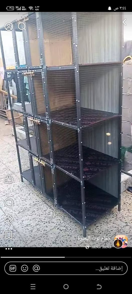 اشتغل كل القياسات وبسعر مناسب


**إذا كنت صاحب هذا الإعلان وتريد حذفه لأي سبب، رجاءا أرسل رسالة إلى الدعم الفني**