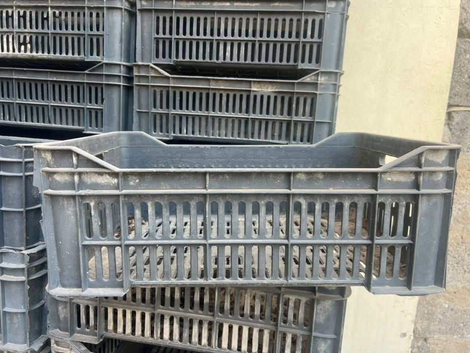للبيع صناديق طماطة درجة اولى مثل ما موضح العدد 65 
ادفع سعرك عجبني ابيعك للتواصل واتساب ***********

