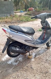 ماكس منغولي • الوركاء • شهرين