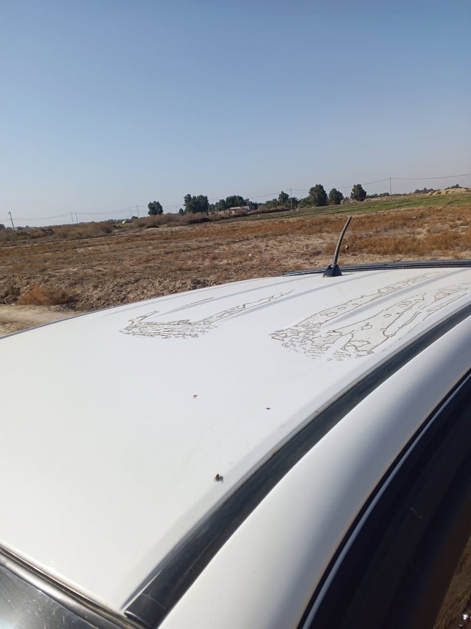 سلام عليكم هايلوكس موديل 2014 كواتي باب ول شاصي 19  فول مواصفات دهبي سياره علوظع   مامفتوح برقي علوظع شركه ماشيه 190 رقم واسط نكليزي بسمي حداديه شركه سبير منازل تايرات جديد  سياره مكفولة عامه من كلشي حته من سخط من بارد من فتح من صبغ من كلشي دواخل فول لل فول   عنوان بابل شوملي  سياره نظيفه ماعايزه اي شيء جديد  سياره تبريد تدفئه تخم ستيرن سياره تريد وكاله حاظر تريد تحويل مباشر  سياره شرط سونار ملاحظات  بحال شركه***********
