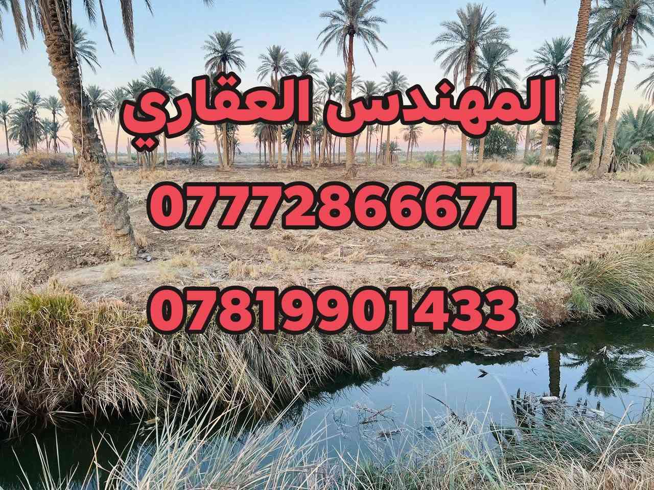 📣 السلام عليكم 📣
🔴 دونمين و 800 متر طابو زراعي سند 25
      تحويل أسهم بأسم المشتري 
🔴الواجهة 30 متر تقريبا جميع خدمات متوفره
 🌈ماء اساله كهرباء تبليط للباب وماء سقي نهر 🌈
📍 الموقع(طريق كربلاء _ نجف طريق ياحسين 
المؤدي إلى كربلاء عمود 1141 وتنزل كيلوين أو أقل)
ملاحظة/كما توجد أيضاً لدوانم بأسعار مناسبة 
 قريبه جداً من طريق كربلاء نجف ياحسين طريق الزوار 
اي عقــــار عندك للبيع مراسلة البيج
__________________
للاستعلام والاستفسار:
موقع المكتب/طريق كربلاء طويريج 
***********    سيد حسين ☎️
***********    سيد حسين ☎️ 
 #عقارات_كربلاء #عقارات_بغداد #كافة #عقارات_البصرة #عقارات_عراقيه
