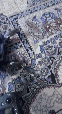 جديد شرط كبس شركه ضمان مفحوص والفحص السعر 80 الف
توصيل بغداد 5الف و محافضات كارت اسيا ابو 5 ينكطع من الحساب للحجز وتساب ***********
