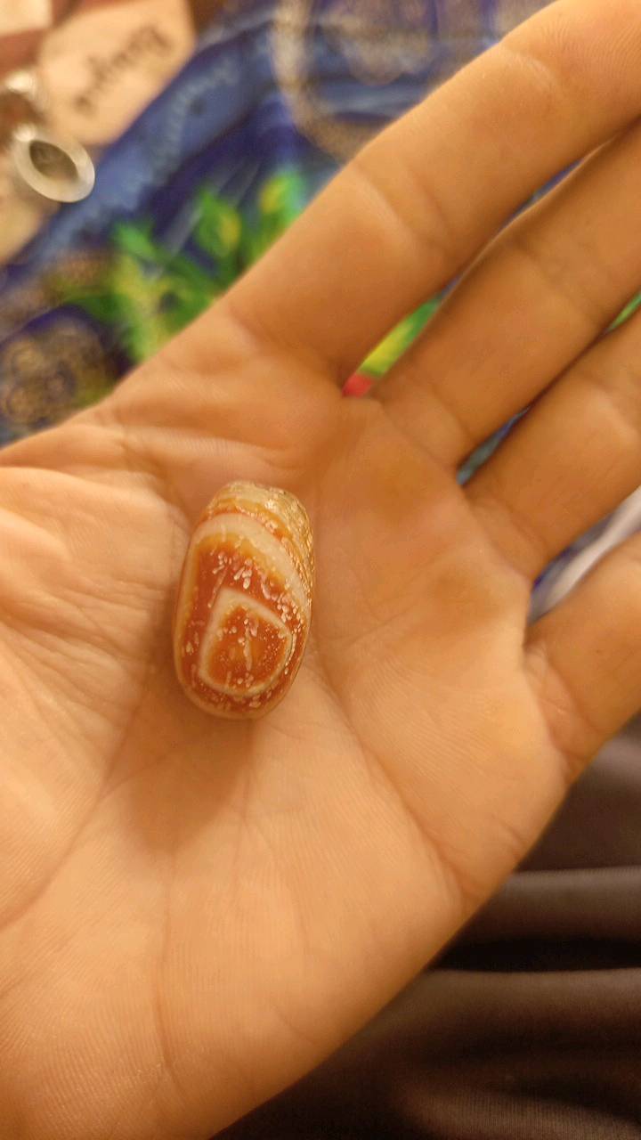 السماوه الرميثه كل وحده وسعرهه المراسله وتساب 