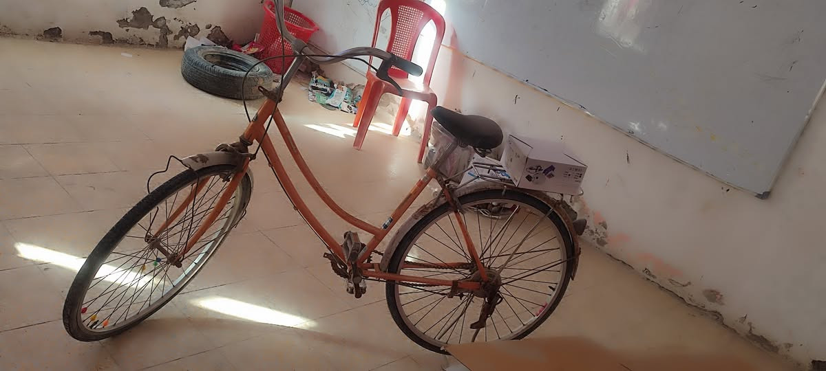 عندي سياج بي ار سي جبير كلش قيم واخذ 
والبايسكل ب70


**إذا كنت صاحب هذا الإعلان وتريد حذفه لأي سبب، رجاءا أرسل رسالة إلى الدعم الفني**