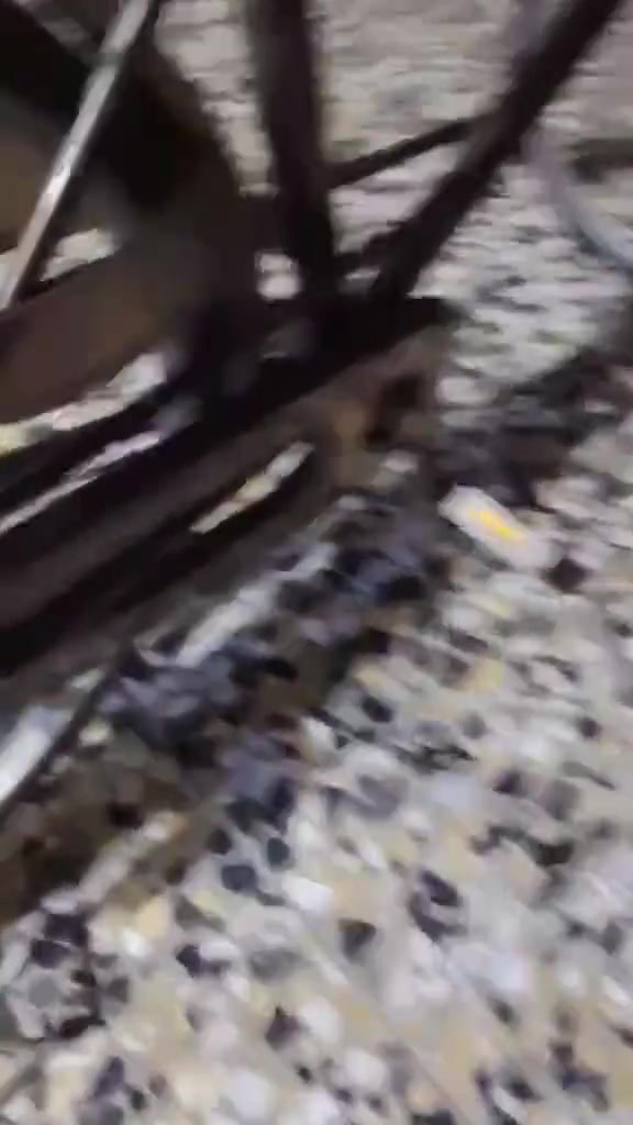 السلام عليكم بايسكل للبيع بطه ياباني كير حساس دفن باسكل نضيف  اخو الجديد قفل ستيرن بي تجي بي السله البلديه سعر 80 وبي مجال لشراي الشراي يجي خاص


**إذا كنت صاحب هذا الإعلان وتريد حذفه لأي سبب، رجاءا أرسل رسالة إلى الدعم الفني**