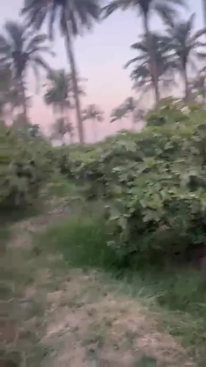 مزرعه مساحتها 3000 متر طابو زراعي سند 25 للبيع خلف جامعة بابل تبعد عن طرق حبه نجف 5 كيلو متوفر ماء سقي وكهرباء والتبليط يبتعد عنه 800 متر للاستفسار الاتصال على الرقم *********** او مراجعة #مكتب #الغدير #للعقار
