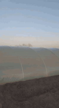 بيوت بلاستيكية لبناني • ٥٢م×٩م • ضمان ٣ سنوات