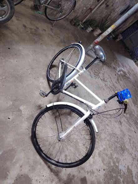 السلام عليكم شباب بايسكل للبيع حجم ٢٦
كير و حساس حيل نضيف
السعر ٨٥ بي مجال العنوان ابو غريب قرب مستشفى ابو غريب
الاستفسار ***********
