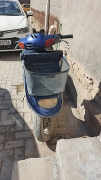 دراجة • زعرة • منغولية