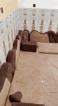 ديوان اخو الجديد للبيع وكيزر مكان ديوانية حي الشرطه


**إذا كنت صاحب هذا الإعلان وتريد حذفه لأي سبب، رجاءا أرسل رسالة إلى الدعم الفني**