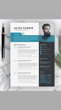 سيرة احترافية • بالعربي والإنجليزي • ورد وPDF