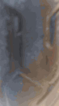 سلام عليكم دراجه البيع ما مفتوحه كله جديد سلف هندر كهربيات شغاله سعر 500مكاني ناصرية مركز


**إذا كنت صاحب هذا الإعلان وتريد حذفه لأي سبب، رجاءا أرسل رسالة إلى الدعم الفني**