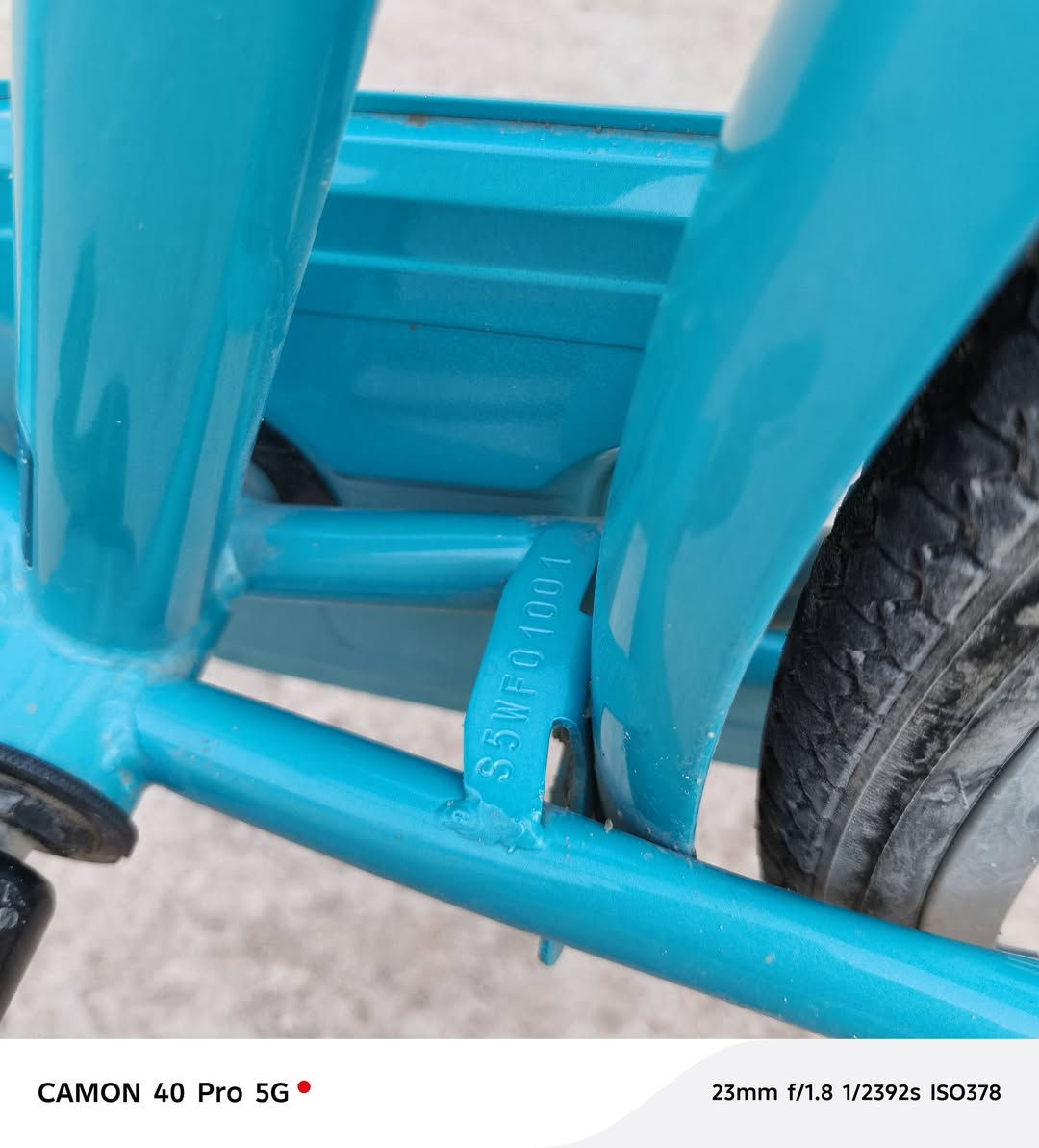 سلام عليكم باسكل سانتوس للبيع مديل 2022 فول نضافة جديد بي بس شخطتين بطيخة شيمونو بنز 90 فول صفارة شوفت عينك النضافة اشتريتة 170 وبي مجال رايدة 140 وبي مجال للطيبين مكاني نجف الأشرف الكوفة


**إذا كنت صاحب هذا الإعلان وتريد حذفه لأي سبب، رجاءا أرسل رسالة إلى الدعم الفني**