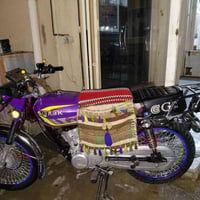 تايكر ٢٥ • مكفول • بلدروز