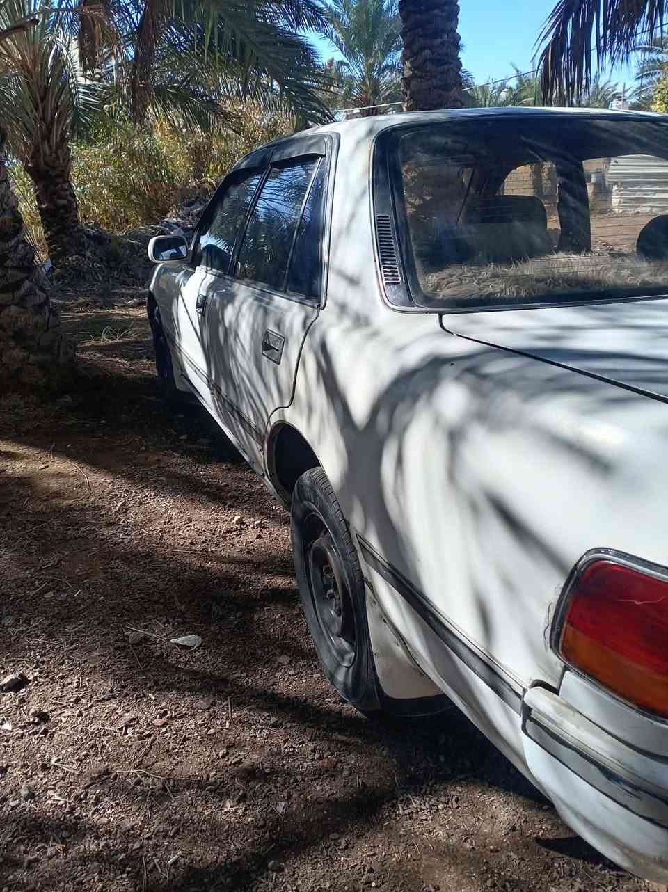 السلام عليكم
مارك تيوتى عظم كربلائي
موديل 1992
مابيه اي ضربه بس شويه يم جملغ الخلفي
محرك وكير خير من الله
حداديه زينه
وبسمي
ورقمه بغداد خصوصي الاماني
سنويه ماصقطا
بيه شويه خيسات بل جملغات
سياره بلادي ودواخل نظيفات
سياره حلوه للإستفسار الاتصال بالرقم ***********
