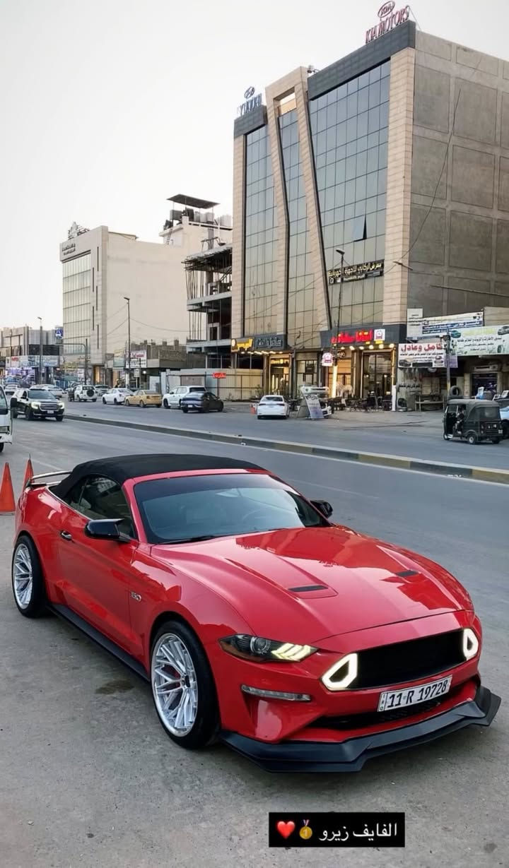 سلام عليكم شباب
فورد موستنك GT  5.0
للبيع
السياره فول موصفات للئخير خنك
كشنات جلد و خزن
تدفئه تبريد 
ترحيب مري
دجتل 
هيتر مري
شنو البالك بيها
سياره كت كاملRTR
شباك اعلى واسفل rtr
دوسات RTR
لحيه امامي ام القطعتين RTR
دفيوزرRTR
دركه كاربون حقيقي حرفD
مسطره تراك بكج مبرمجه وشغاله
ويل رهوانا اخر اصدار
لدات دفيوزر متغير
سياره حلوه 

بيها صبغ قطعتين وربع
تعديل بل شاصي اليسره بدون لحين بدون 
كص 
سعرها 155$ ماكو هيج سعر بل نسبه الموستنك جي تي وعشر نمر
مكانها بغداد وزيريه 
***********هاذه فقط وتساب ما فتوح خط
***********  هاذه فقط خط ما بيه وتساب 
اخوك علي ستار
