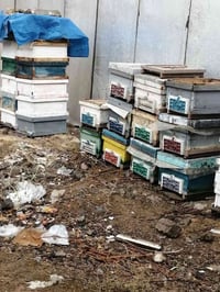 صندوق تحت السرير • نظيف • لەپیرەمەگروون