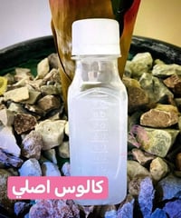تجربة زبون • مادة كالوس • قدم